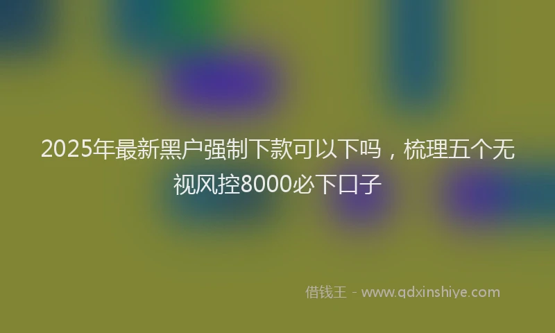 2025年最新黑户强制下款可以下吗，梳理五个无视风控8000必下口子