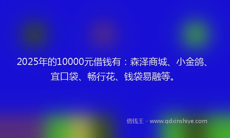 2025年的10000元借钱有：森泽商城、小金鸽、宜口袋、畅行花、钱袋易融等。