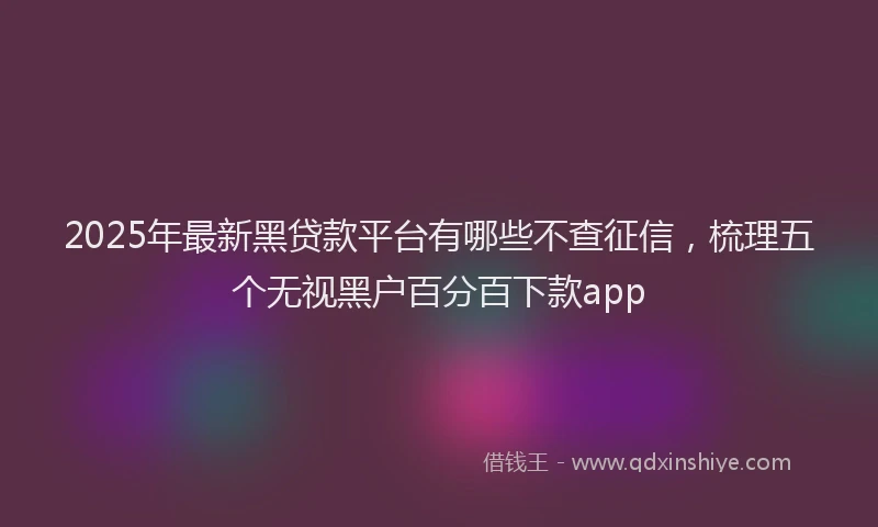 2025年最新黑贷款平台有哪些不查征信，梳理五个无视黑户百分百下款app