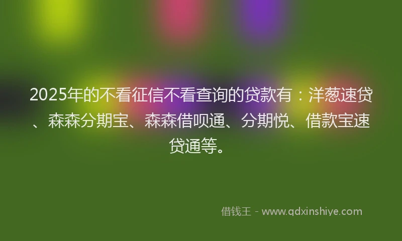 2025年的不看征信不看查询的贷款有：洋葱速贷、森森分期宝、森森借呗通、分期悦、借款宝速贷通等。