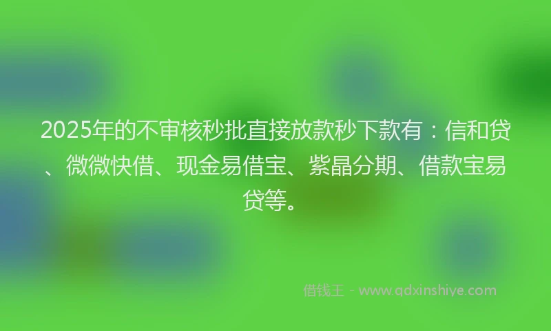 2025年的不审核秒批直接放款秒下款有：信和贷、微微快借、现金易借宝、紫晶分期、借款宝易贷等。