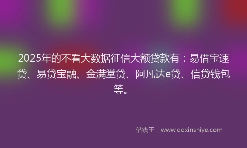 2025年的不看大数据征信大额贷款有：易借宝速贷、易贷宝融、金满堂贷、阿凡达e贷、信贷钱包等。
