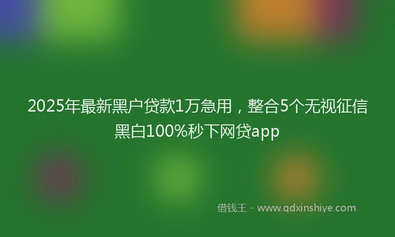 2025年最新黑户贷款1万急用，整合5个无视征信黑白100%秒下网贷app