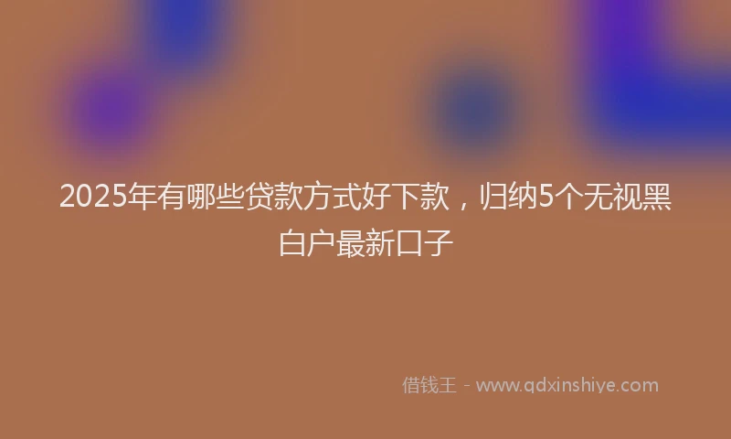 2025年有哪些贷款方式好下款，归纳5个无视黑白户最新口子