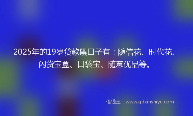 2025年的19岁贷款黑口子有：随信花、时代花、闪贷宝盒、口袋宝、随意优品等。