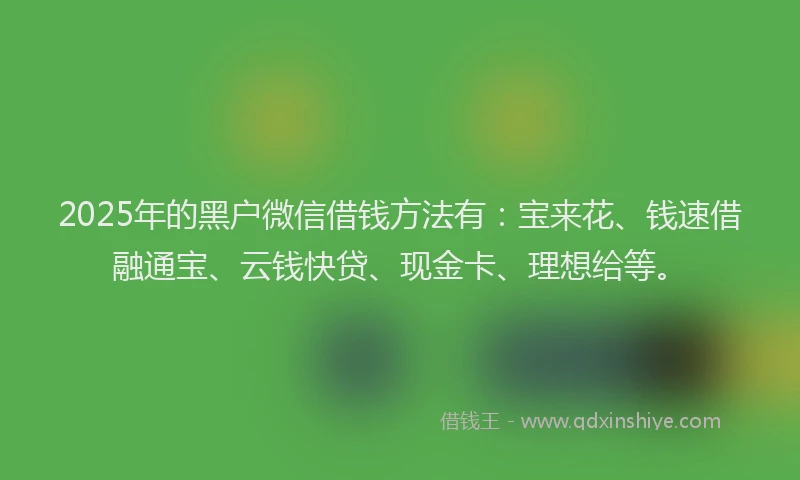 2025年的黑户微信借钱方法有：宝来花、钱速借融通宝、云钱快贷、现金卡、理想给等。