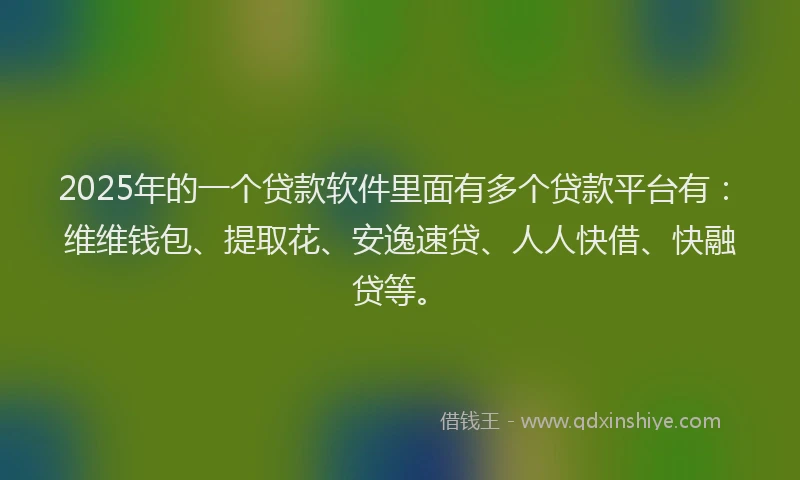 2025年的一个贷款软件里面有多个贷款平台有：维维钱包、提取花、安逸速贷、人人快借、快融贷等。