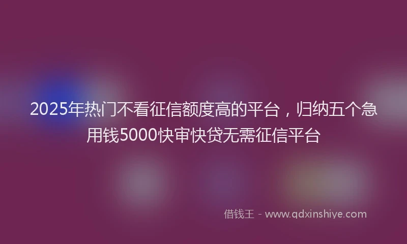 2025年热门不看征信额度高的平台，归纳五个急用钱5000快审快贷无需征信平台