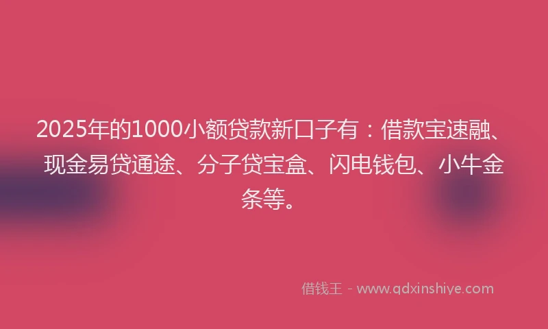 2025年的1000小额贷款新口子有：借款宝速融、现金易贷通途、分子贷宝盒、闪电钱包、小牛金条等。