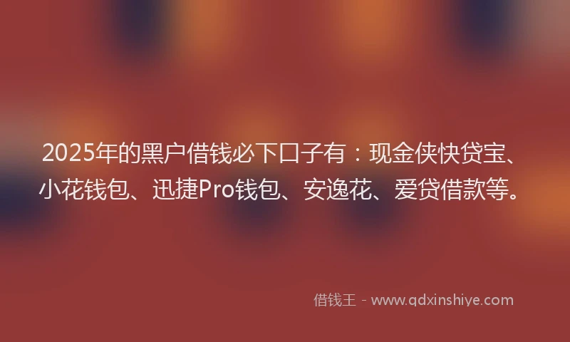 2025年的黑户借钱必下口子有：现金侠快贷宝、小花钱包、迅捷Pro钱包、安逸花、爱贷借款等。