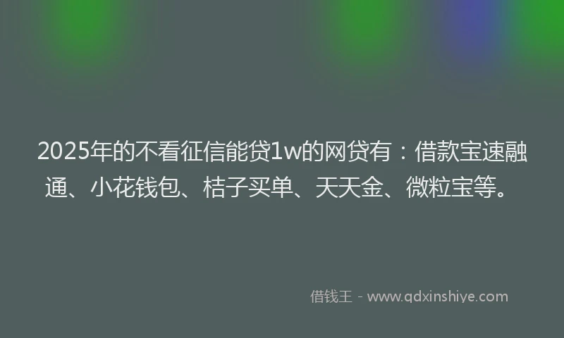 2025年的不看征信能贷1w的网贷有：借款宝速融通、小花钱包、桔子买单、天天金、微粒宝等。