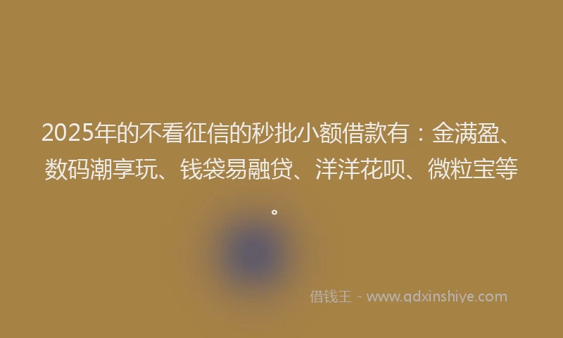 2025年的不看征信的秒批小额借款有：金满盈、数码潮享玩、钱袋易融贷、洋洋花呗、微粒宝等。