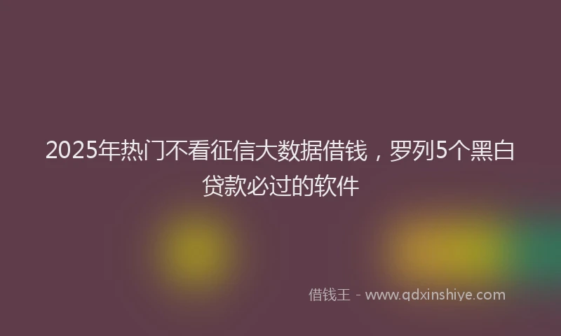 2025年热门不看征信大数据借钱，罗列5个黑白贷款必过的软件