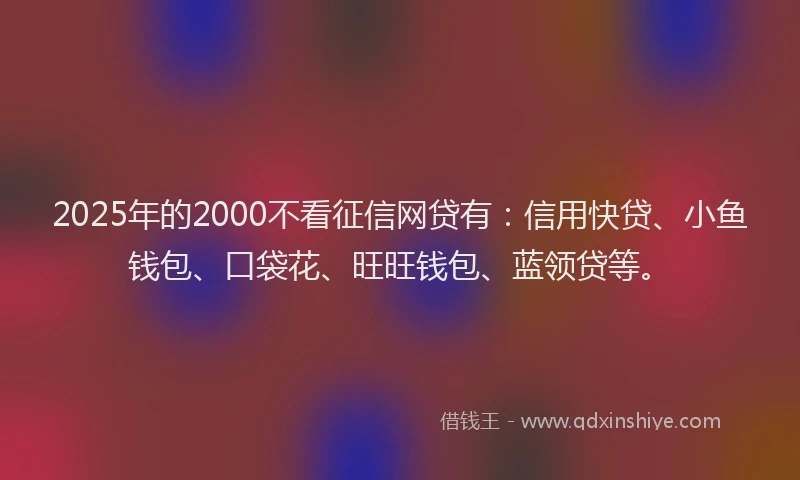 2025年的2000不看征信网贷有：信用快贷、小鱼钱包、口袋花、旺旺钱包、蓝领贷等。