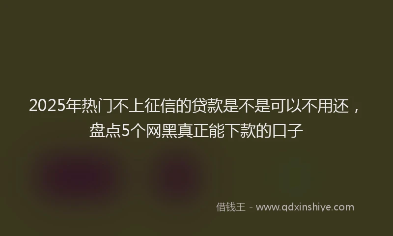 2025年热门不上征信的贷款是不是可以不用还,盘点5个网黑真正能下款的口子