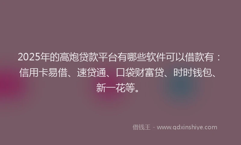 2025年的高炮贷款平台有哪些软件可以借款有：信用卡易借、速贷通、口袋财富贷、时时钱包、新一花等。