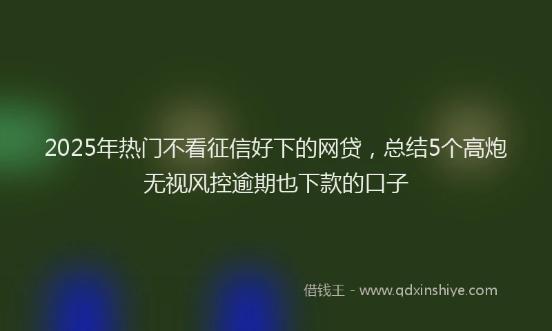 2025年热门不看征信好下的网贷，总结5个高炮无视风控逾期也下款的口子