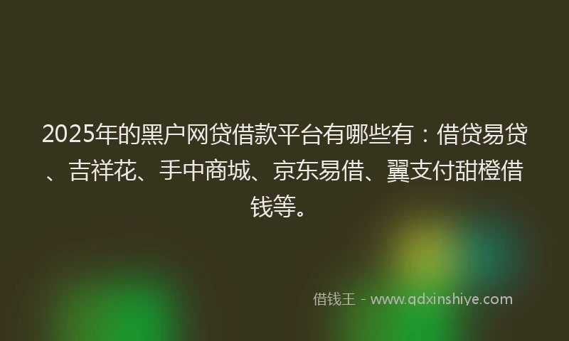 2025年的黑户网贷借款平台有哪些有：借贷易贷、吉祥花、手中商城、京东易借、翼支付甜橙借钱等。