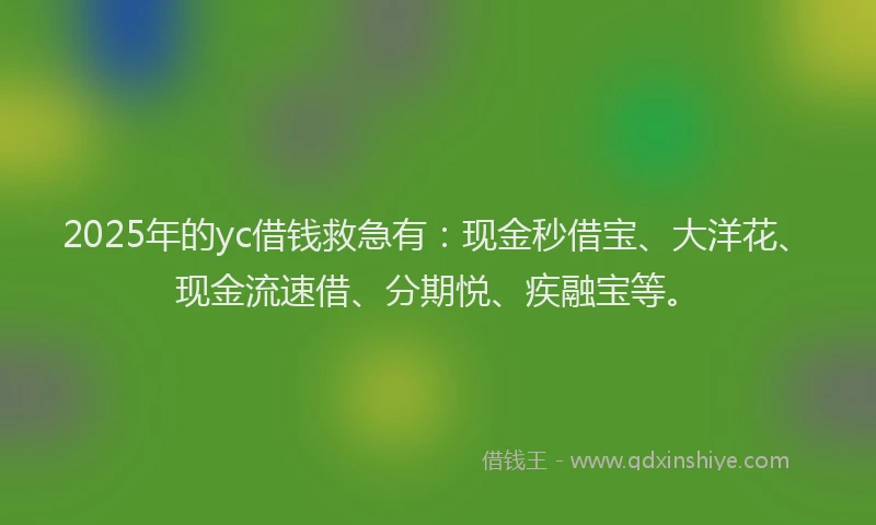 2025年的yc借钱救急有：现金秒借宝、大洋花、现金流速借、分期悦、疾融宝等。