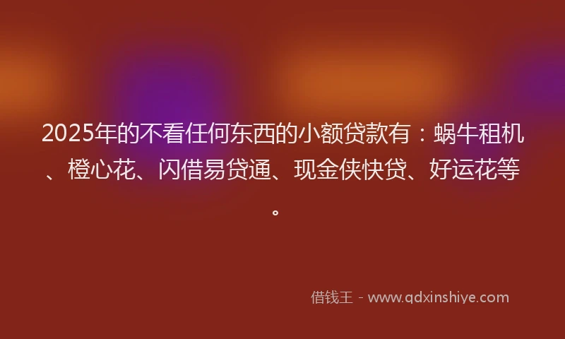 2025年的不看任何东西的小额贷款有：蜗牛租机、橙心花、闪借易贷通、现金侠快贷、好运花等。
