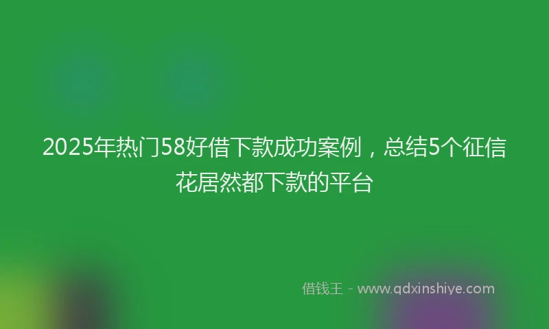 2025年热门58好借下款成功案例，总结5个征信花居然都下款的平台