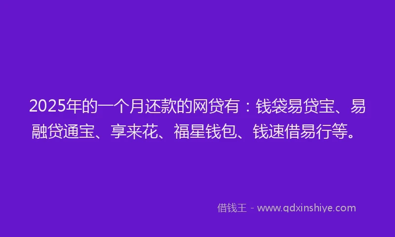 2025年的一个月还款的网贷有：钱袋易贷宝、易融贷通宝、享来花、福星钱包、钱速借易行等。
