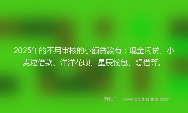 2025年的不用审核的小额贷款有：现金闪贷、小麦粒借款、洋洋花呗、星辰钱包、想借等。