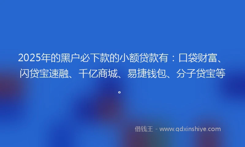 2025年的黑户必下款的小额贷款有：口袋财富、闪贷宝速融、千亿商城、易捷钱包、分子贷宝等。