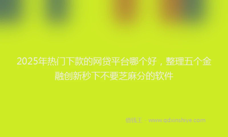 2025年热门下款的网贷平台哪个好，整理五个金融创新秒下不要芝麻分的软件