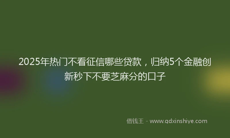 2025年热门不看征信哪些贷款，归纳5个金融创新秒下不要芝麻分的口子