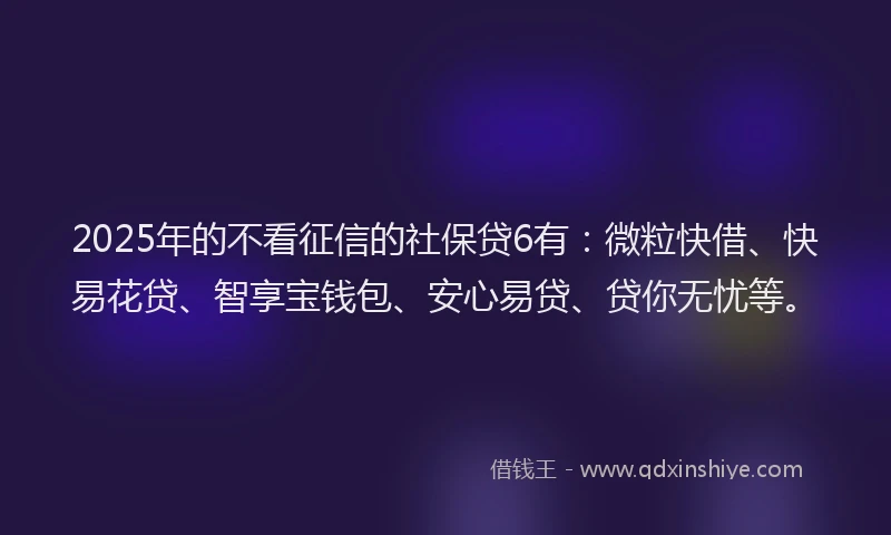 2025年的不看征信的社保贷6有：微粒快借、快易花贷、智享宝钱包、安心易贷、贷你无忧等。