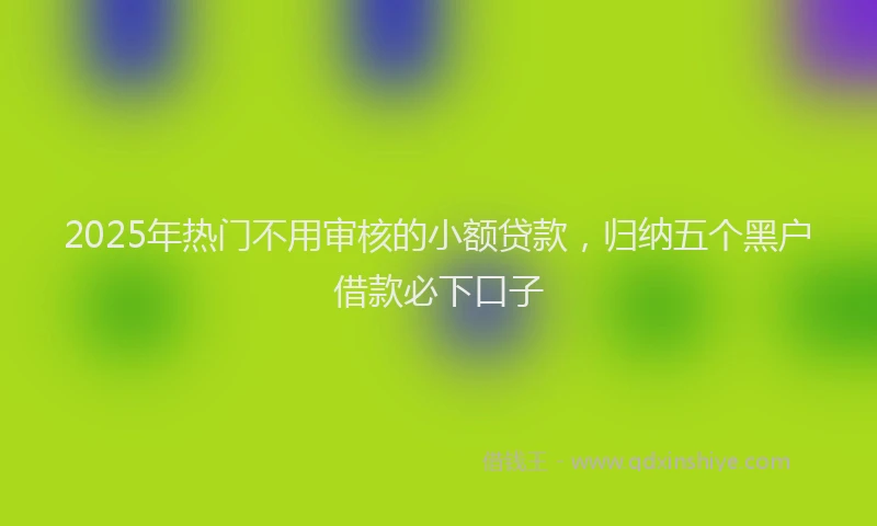 2025年热门不用审核的小额贷款，归纳五个黑户借款必下口子