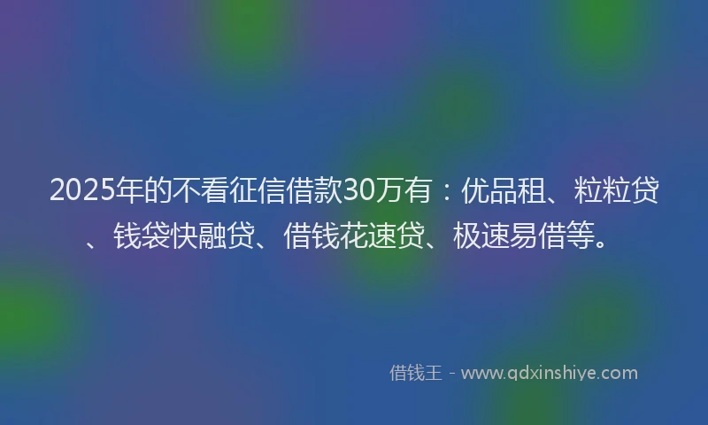 2025年的不看征信借款30万有：优品租、粒粒贷、钱袋快融贷、借钱花速贷、极速易借等。