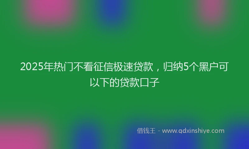 2025年热门不看征信极速贷款，归纳5个黑户可以下的贷款口子