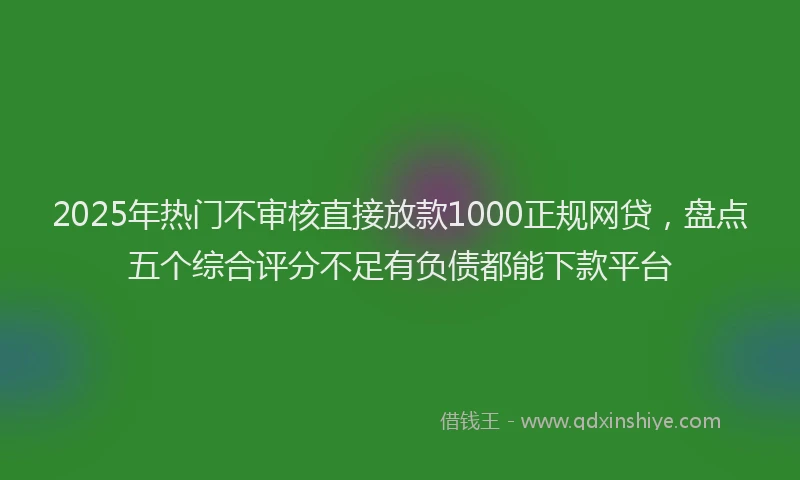 2025年热门不审核直接放款1000正规网贷，盘点五个综合评分不足有负债都能下款平台