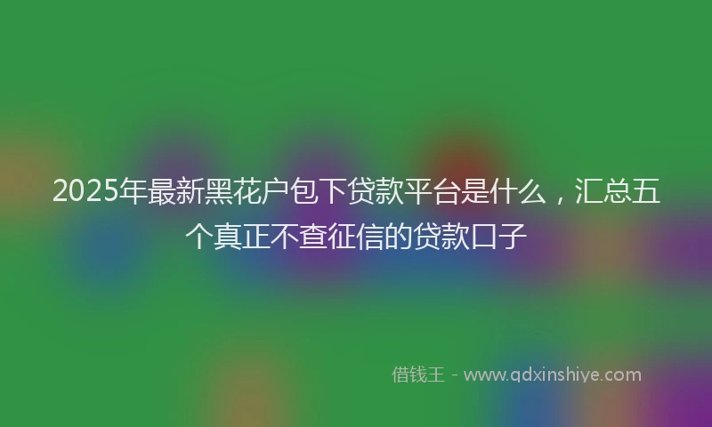 2025年最新黑花户包下贷款平台是什么，汇总五个真正不查征信的贷款口子