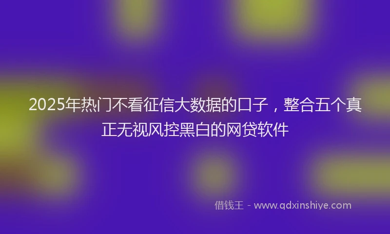 2025年热门不看征信大数据的口子，整合五个真正无视风控黑白的网贷软件