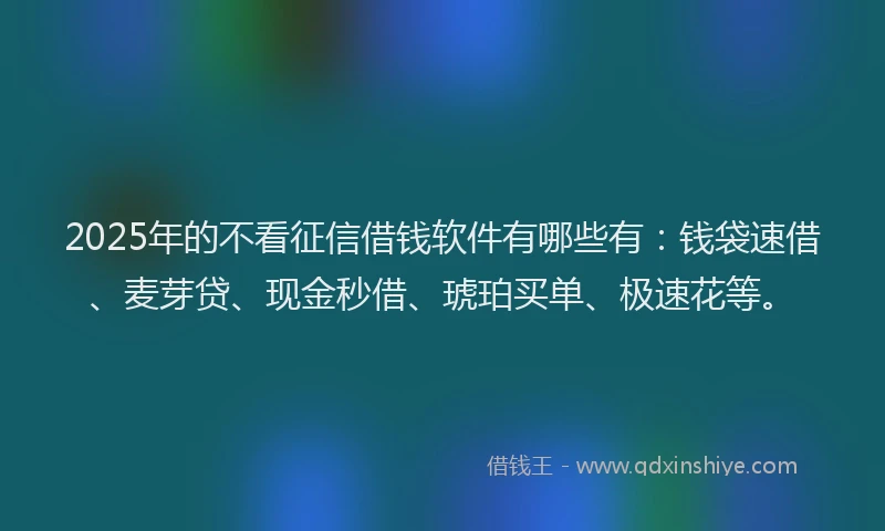 2025年的不看征信借钱软件有哪些有：钱袋速借、麦芽贷、现金秒借、琥珀买单、极速花等。