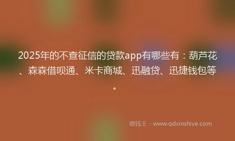 2025年的不查征信的贷款app有哪些有：葫芦花、森森借呗通、米卡商城、迅融贷、迅捷钱包等。