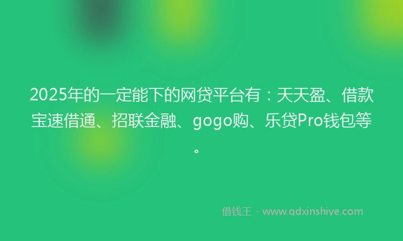 2025年的一定能下的网贷平台有：天天盈、借款宝速借通、招联金融、gogo购、乐贷Pro钱包等。