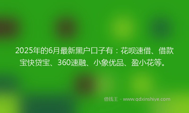 2025年的6月最新黑户口子有：花呗速借、借款宝快贷宝、360速融、小象优品、盈小花等。