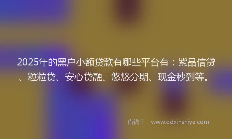 2025年的黑户小额贷款有哪些平台有：紫晶信贷、粒粒贷、安心贷融、悠悠分期、现金秒到等。