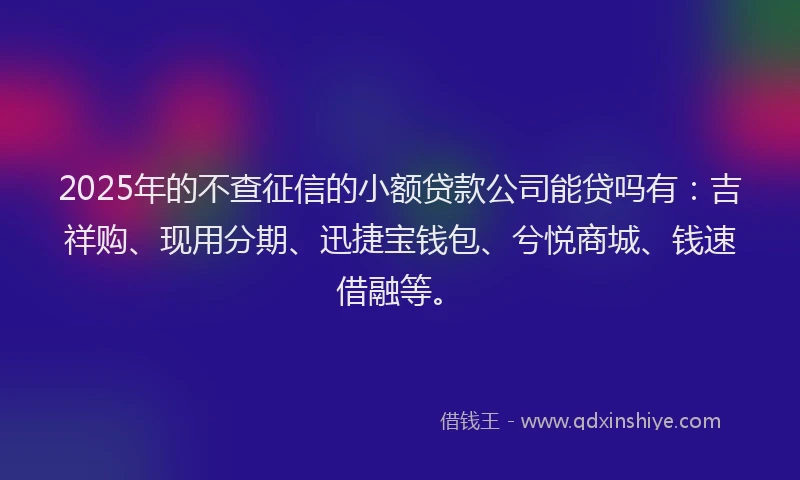 2025年的不查征信的小额贷款公司能贷吗有:吉祥购、现用分期、迅捷宝钱包、兮悦商城、钱速借融等。
