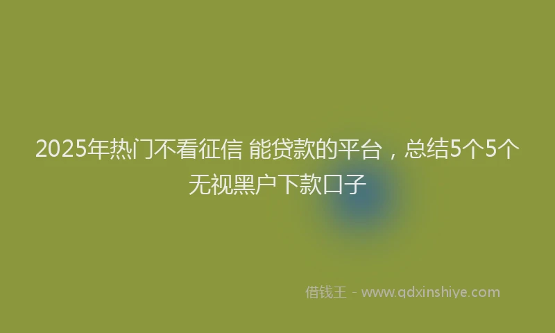 2025年热门不看征信 能贷款的平台，总结5个5个无视黑户下款口子