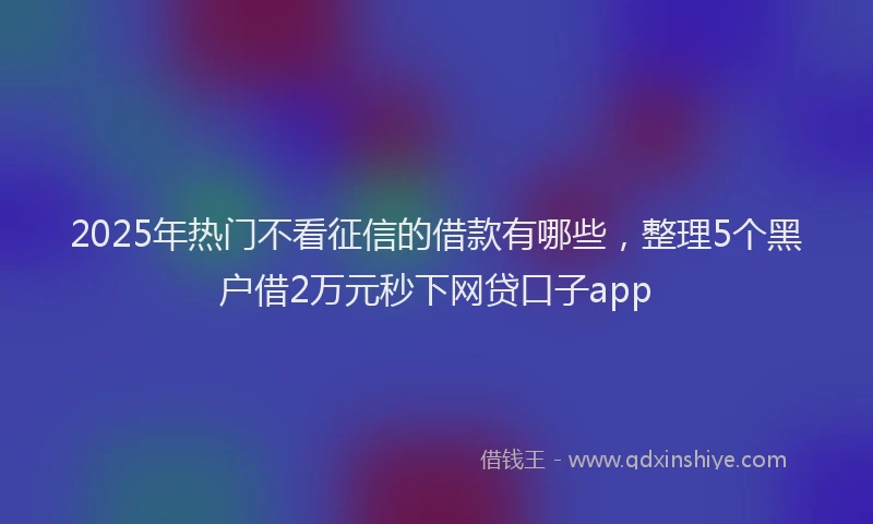 2025年热门不看征信的借款有哪些，整理5个黑户借2万元秒下网贷口子app