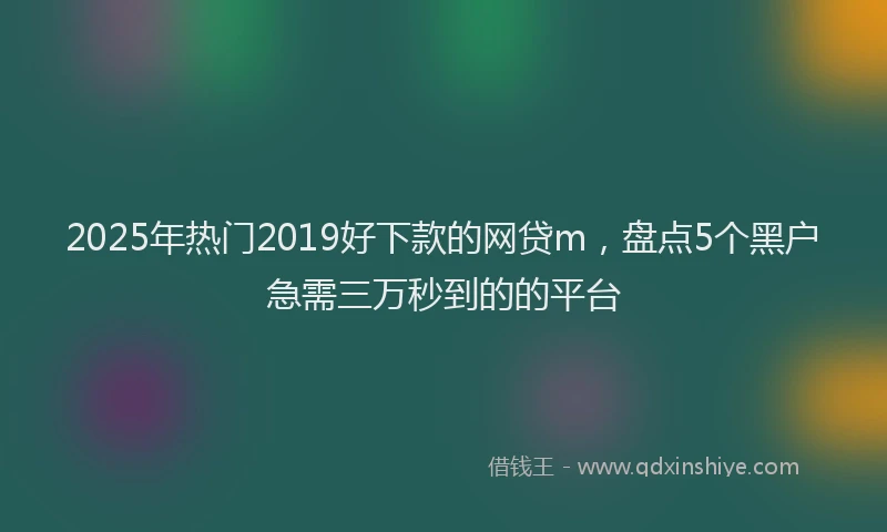 2025年热门2019好下款的网贷m，盘点5个黑户急需三万秒到的的平台