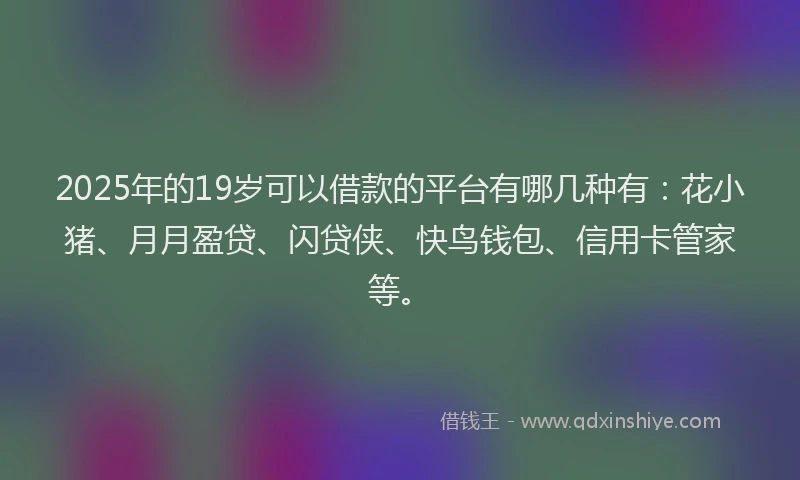 2025年的19岁可以借款的平台有哪几种有：花小猪、月月盈贷、闪贷侠、快鸟钱包、信用卡管家等。