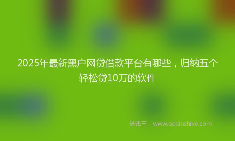 2025年最新黑户网贷借款平台有哪些，归纳五个轻松贷10万的软件