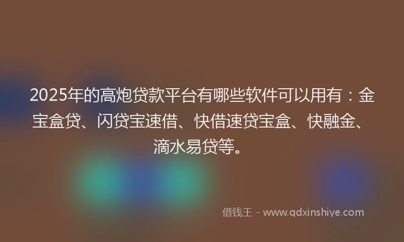 2025年的高炮贷款平台有哪些软件可以用有：金宝盒贷、闪贷宝速借、快借速贷宝盒、快融金、滴水易贷等。