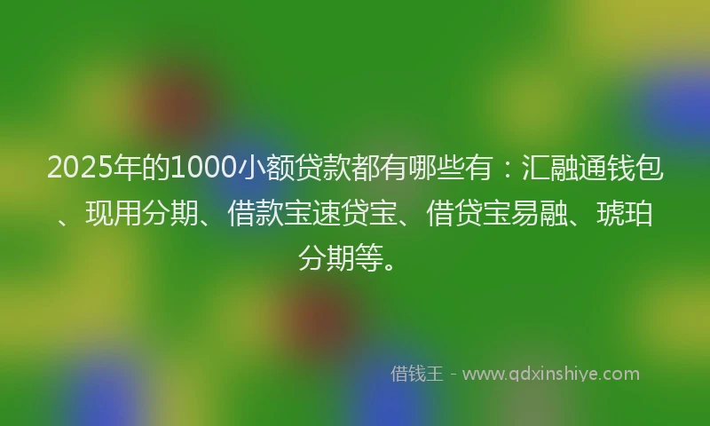 2025年的1000小额贷款都有哪些有：汇融通钱包、现用分期、借款宝速贷宝、借贷宝易融、琥珀分期等。